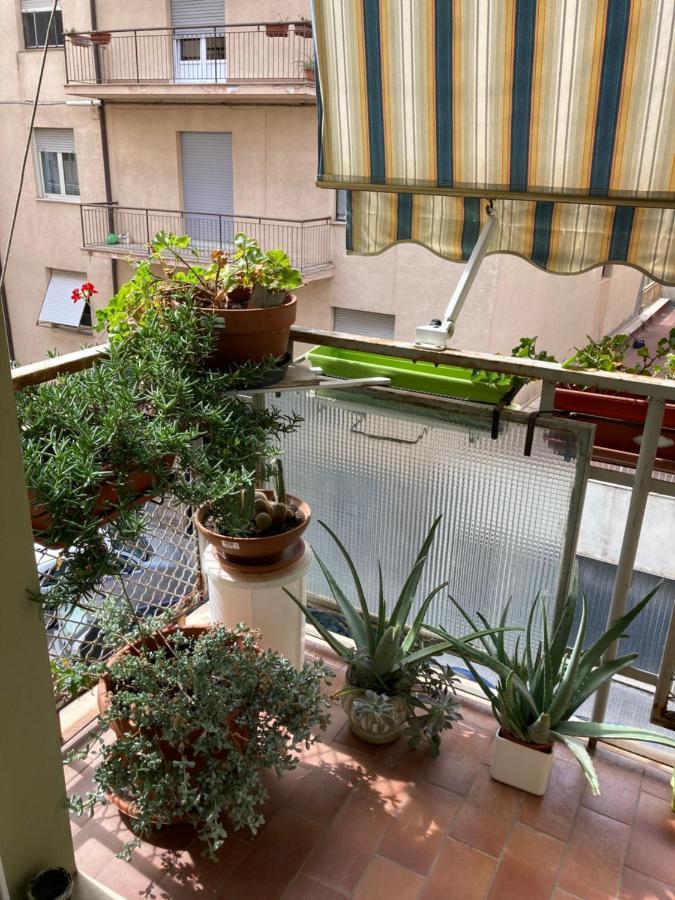 B&B Marsiglia 사사리 외부 사진